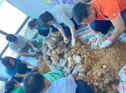 Image: Hiệp Phước Agricultural Council Enhances Workforce Training