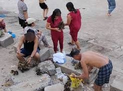 Image: Investigation Launched After Tourists Damage Coral in Nha Trang