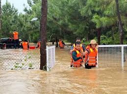 Image: Lâm Đồng Focuses on Recovery Efforts After Heavy Rains