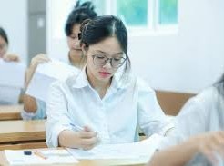 Image: Minimum Admission Score for Social Sciences University Announced