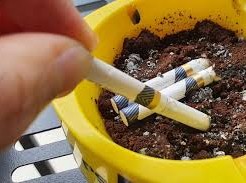 Image: New Regulations May Require ID for Tobacco Purchases