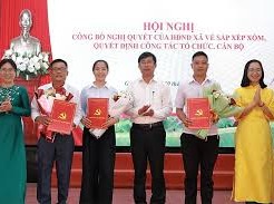 Image: Nghệ An Approves Monthly Allowance for Non-Professional Officials