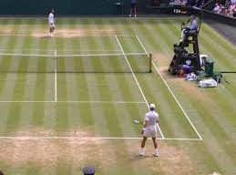 Image: Novak Djokovic Faces Disqualification Scare at Wimbledon