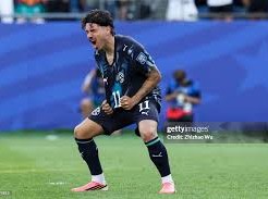 Image: Paraguay vs France: Analyzing the Underdog's Journey