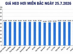 Image: Pork Prices Continue to Drop in Vietnam