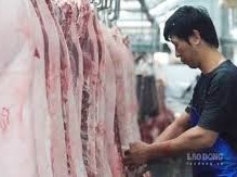 Image: Pork Prices Rise Slightly in Central Vietnam
