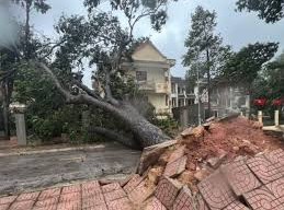 Image: Severe Winds Hit Bach Long Vi Island as Storm No. 1 Approaches