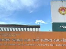 Image: Tuyen Quang Reports to Prime Minister on Math Exam Scores
