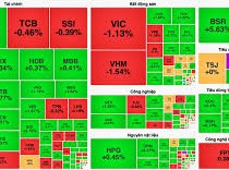 Image: VN-Index Closes with Remarkable Gains, PNJ Surprises with Ceiling Price