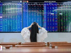 Image: VN-Index Falls Below 1,700 Points Amidst Selling Pressure