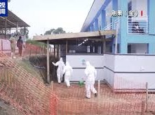 Image: WHO Official Warns of Underreported Ebola Outbreak in Africa