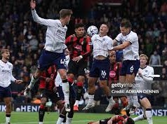 Image: Bournemouth and Everton Share Points in Dramatic 1-1 Draw
