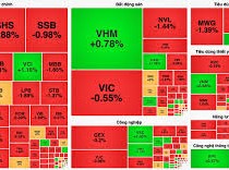 Image: Deutsche Chemical Group Shares Surge Amid Banking Pressure on VN-Index