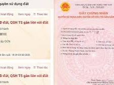 Image: Digital Land Use Certificates Now Visible on VNeID