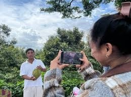 Image: Farmers in Dak Lak Sell Durian via Live Streaming, Earning Billions