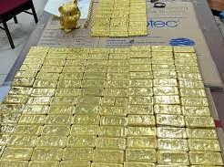 Image: Hundreds of Gold Bars Worth Over 222 Billion VND Found in Mr Pips' Girlfriend's Home