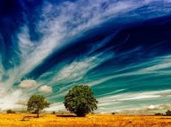 Image: Intensification of El Niño Expected to Impact Global Climate Patterns
