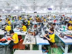 Image: International Organizations Raise Vietnam's GDP Growth Forecast