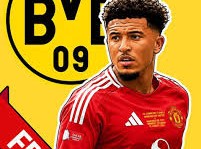 Image: Jadon Sancho Chooses Next Destination After 44 Days Unemployed