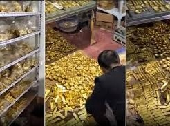 Image: Massive Gold Seizure: 13.5 Tons Discovered in a Villa