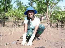 Image: Miss World 2026 Contestant Plants Trees in Mangrove Forest