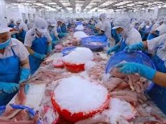 Image: Overcoming Obstacles to Achieve Agricultural Export Goals