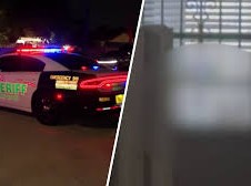 Image: Perez Hilton's Livestream Incident Prompts Police Response