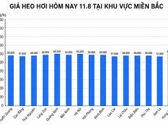 Image: Pork Prices Continue to Drop in Vietnam, Reaching 57,000 VND/kg