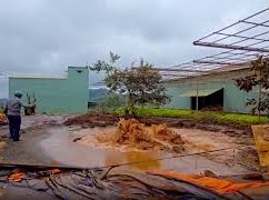 Image: Strong Geyser Erupts in Gia Lai, Causing Erosion
