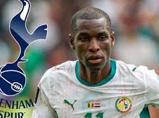 Image: Tottenham Targets Cody Gakpo and Nicolas Jackson for Squad Boost