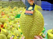 Image: Traceability System for Durian from Farm to Export