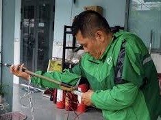Image: Two Arrested in Dog Theft Incident in Ho Chi Minh City