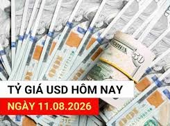 Image: USD Exchange Rate Surges on August 11: Center Rate Hits Record High