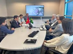 Image: Vietnam and Brazil Enhance Cooperation in Digital Transformation