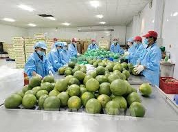 Image: Vietnam's Budget Revenue from Trade Surges Nearly 19% in 7 Months