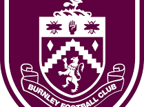 Image: West Bromwich Albion vs Burnley: Championship Match Preview
