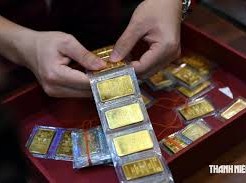 Image: Why are Gold Prices in Vietnam Unusually Low?