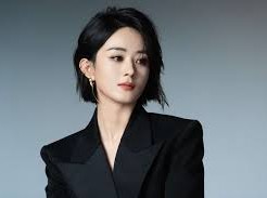 Image: Zhao Liying Hospitalized Before Livestream Event
