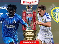Image: Brighton vs Leeds: A Crucial Premier League Clash