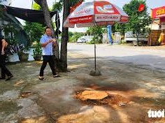 Image: Family of Victim Killed by Fallen Tree Promises Compensation