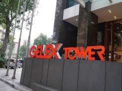 Image: Gelex Ecosystem Stocks Plummet Amid Legal Troubles