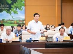 Image: Government Proposes Mandatory Social Insurance for Non-Contract Workers