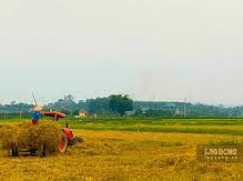Image: How to Convert Agricultural Land with Houses to Residential Land
