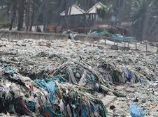 Image: Mũi Né Beach Faces Severe Pollution Crisis