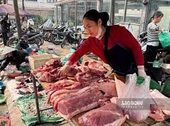 Image: Pork Prices Remain Steady Across Vietnam on September 4