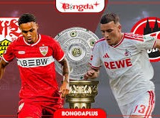 Image: Stuttgart vs Cologne: A Crucial Matchup in Bundesliga