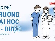 Image: Tuition Fees at Hue University of Medicine and Pharmacy for 2026