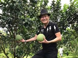 Image: Vietnamese Singer Tuan Vu's Passion for Gardening in the U.S.