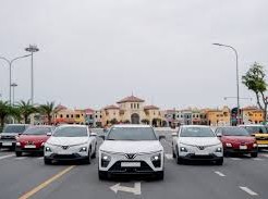 Image: Vingroup Launches Second Green Future Program