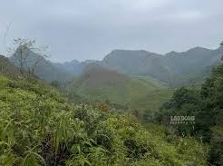 Image: Weather Forecast for Tourists in Northwest Vietnam on September 23rd